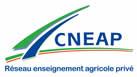 logo cneap